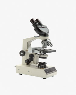 Binocular Research Microscopes