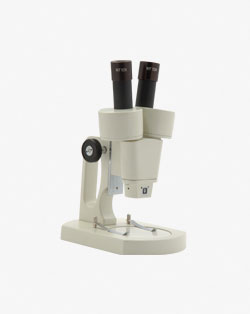 Stereo Microscopes