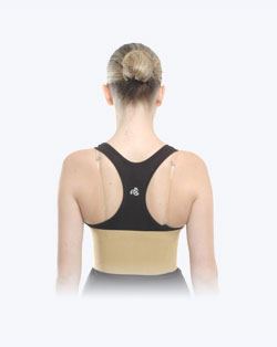 Back & Abdominal Support